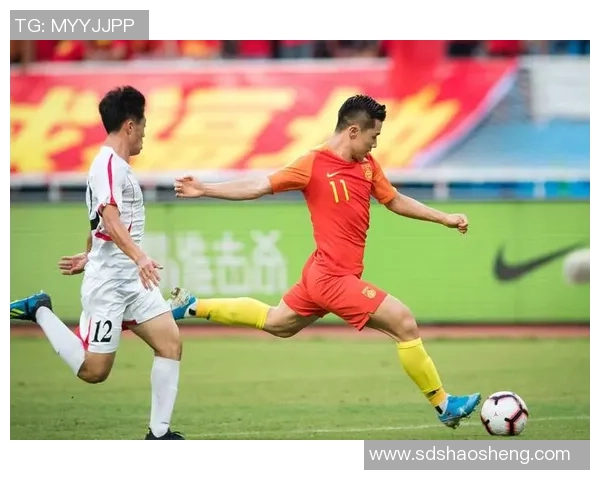 足球明星八斤瓜子背后的故事与热爱足球的奇妙旅程