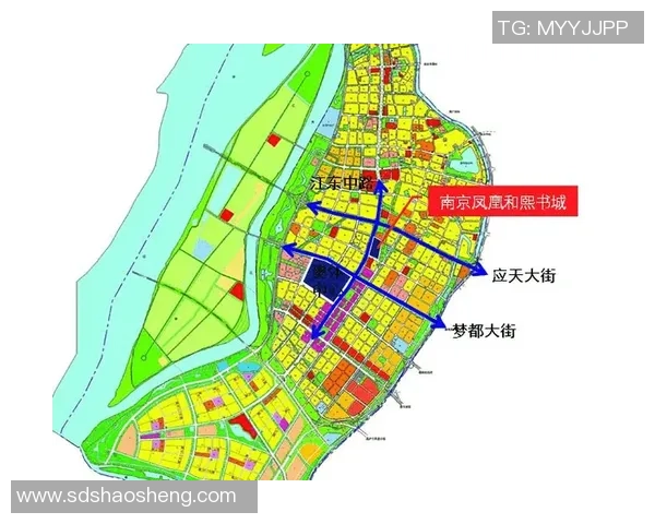 南京排球队配合表现分析与提升策略探讨